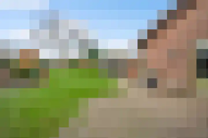 Banensweide 4 Beek thumbnail 37