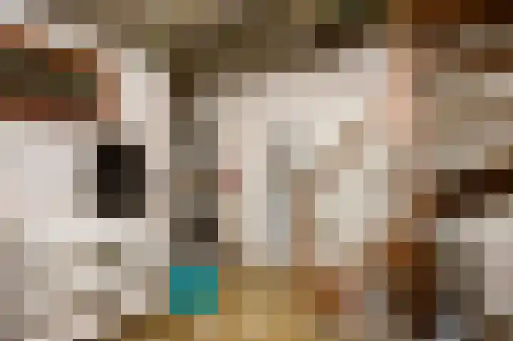 Banensweide 4 Beek thumbnail 42
