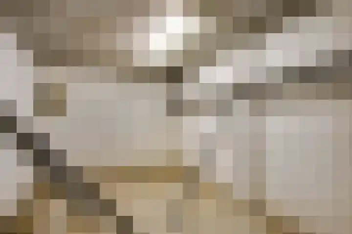 Banensweide 4 Beek thumbnail 46