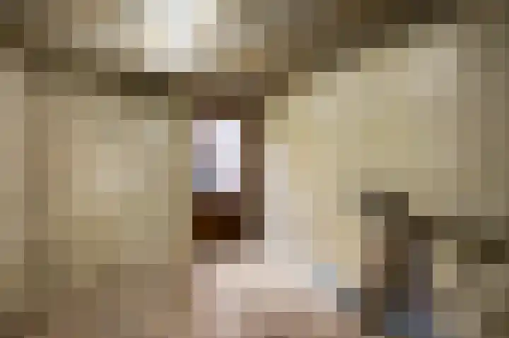 Banensweide 4 Beek thumbnail 47