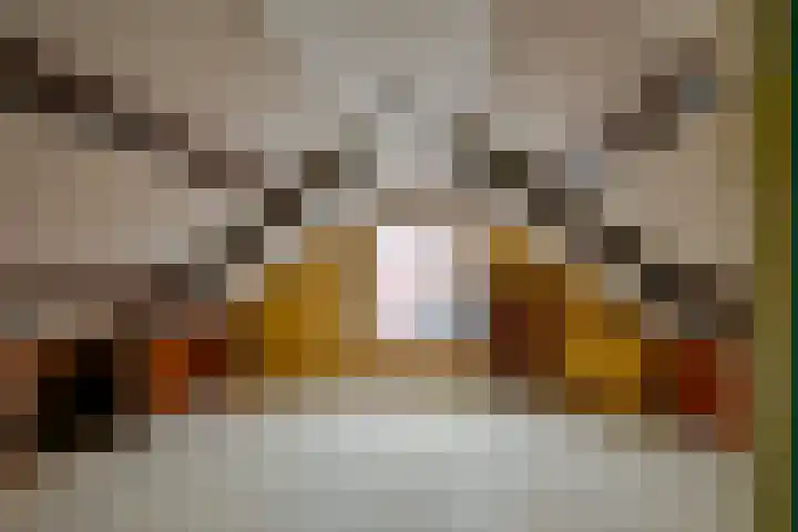 Bangert 21 Medemblik thumbnail 31