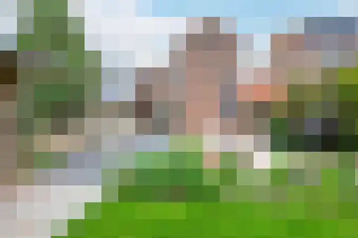 Bangert 21 Medemblik thumbnail 4