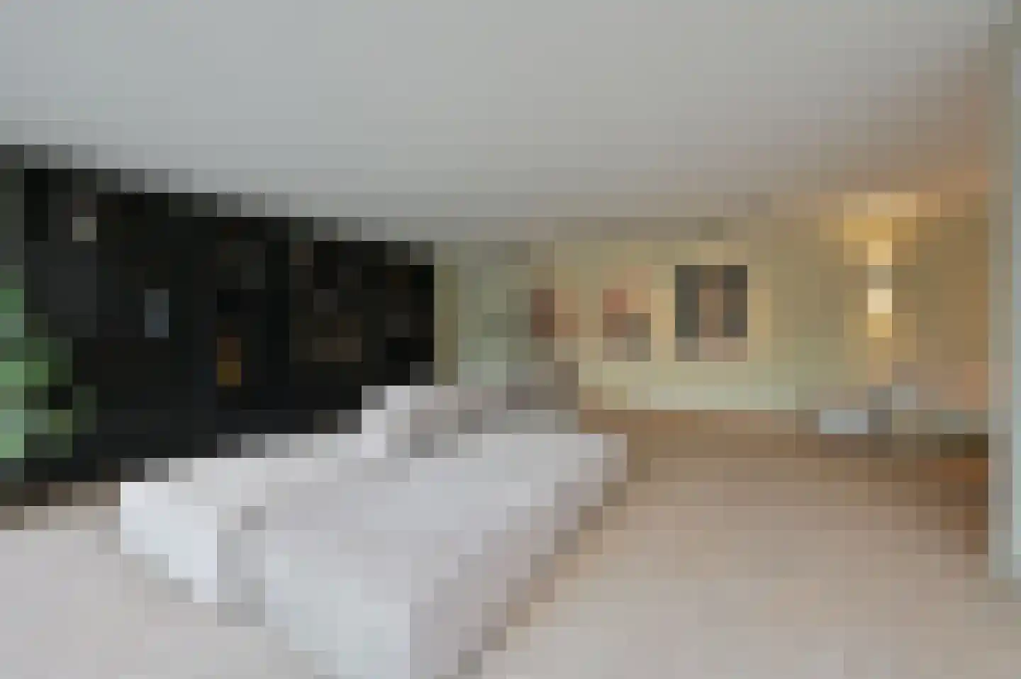 Bangert 37 Zwaag thumbnail 15