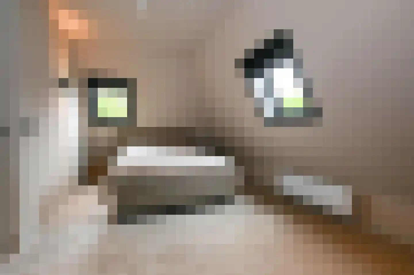 Bangert 37 Zwaag thumbnail 25
