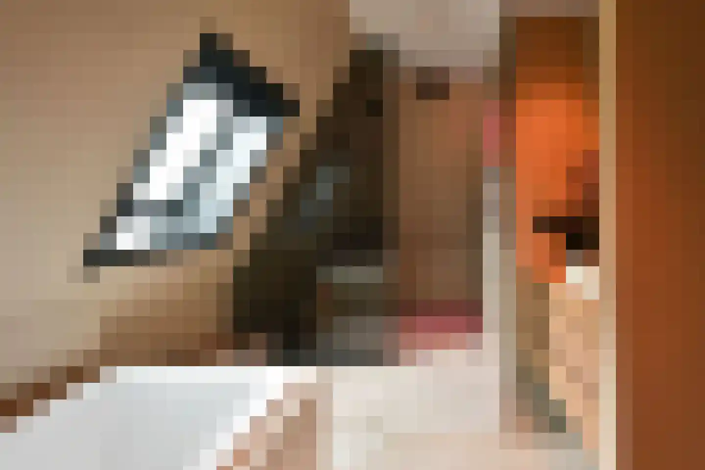 Bangert 37 Zwaag thumbnail 28