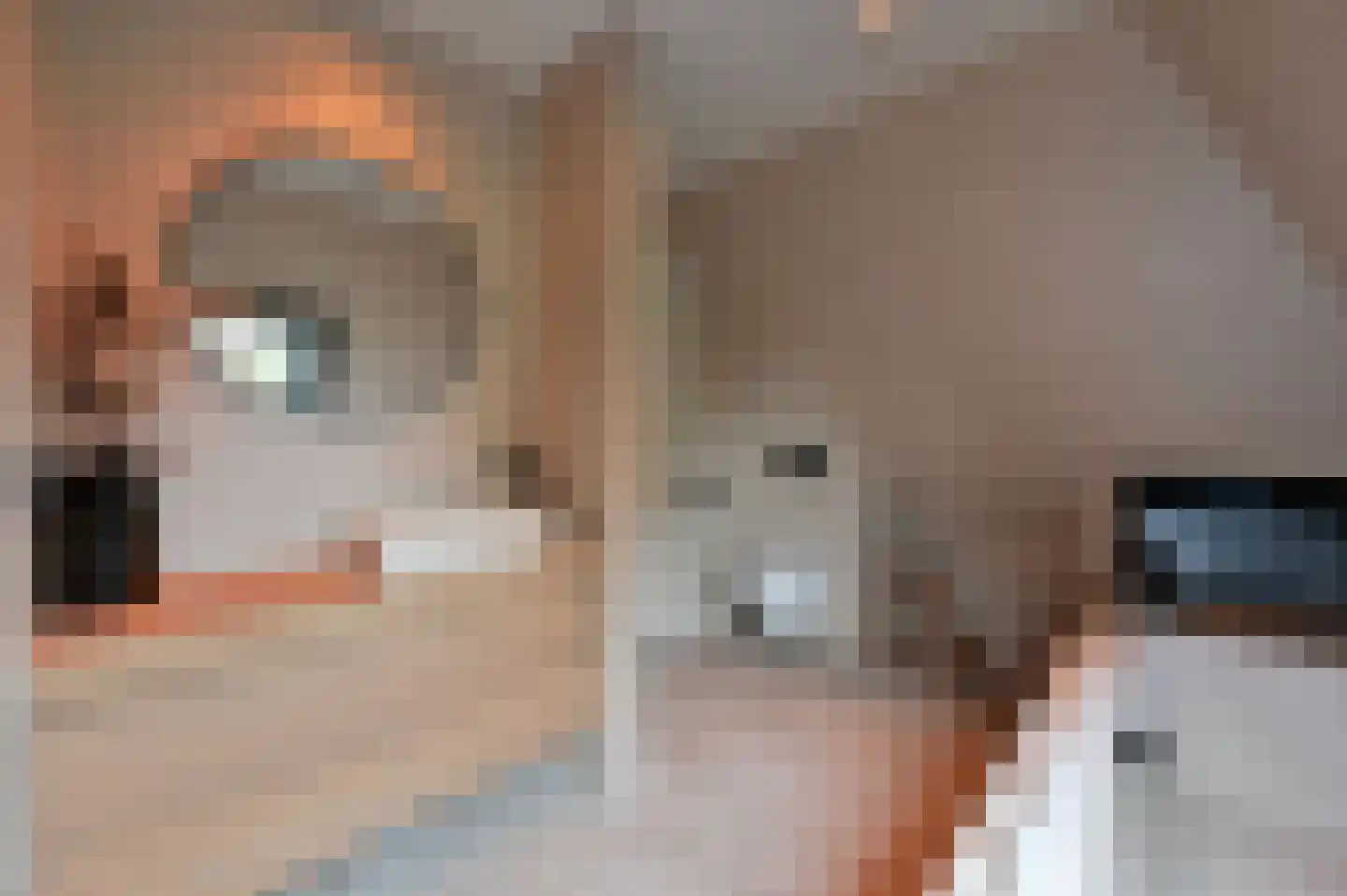 Bangert 37 Zwaag thumbnail 29