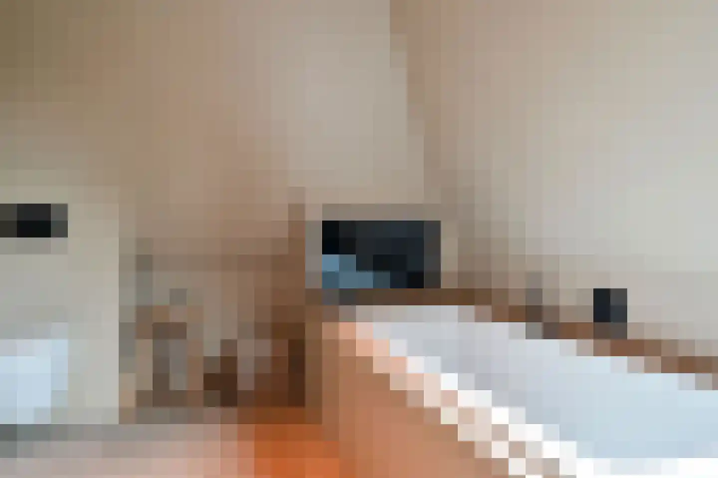 Bangert 37 Zwaag thumbnail 30