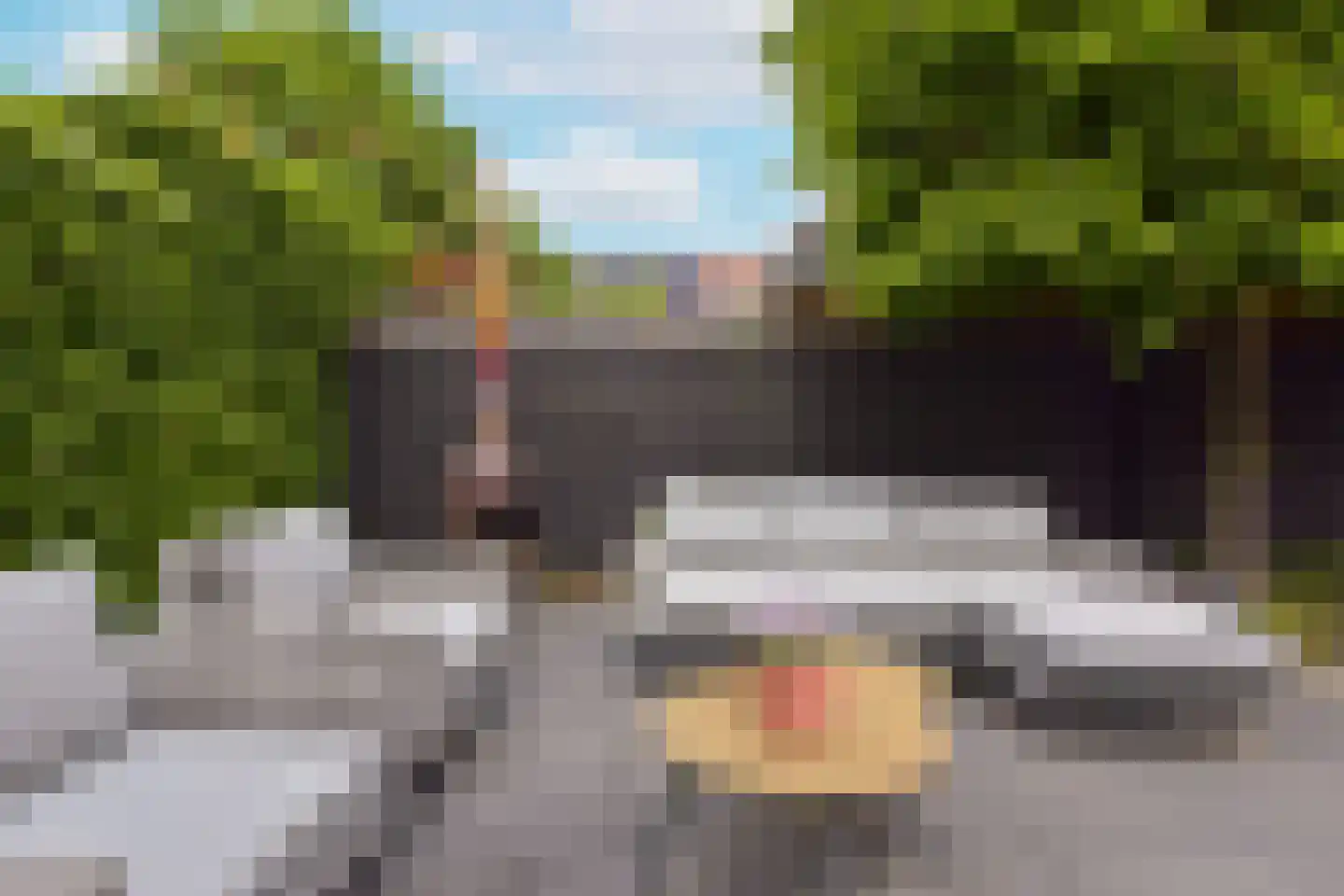 Bangert 37 Zwaag thumbnail 35