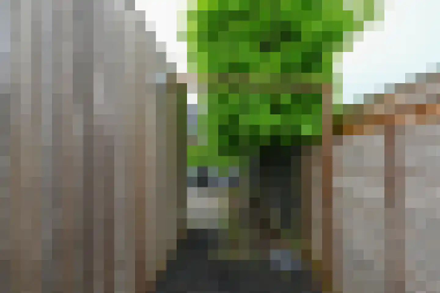 Bangert 37 Zwaag thumbnail 40