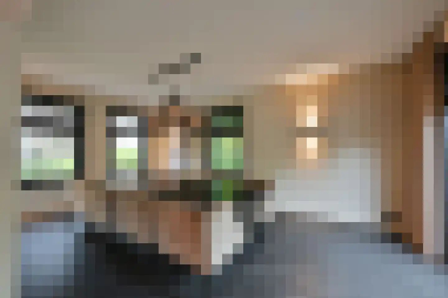 Bangert 37 Zwaag thumbnail 6