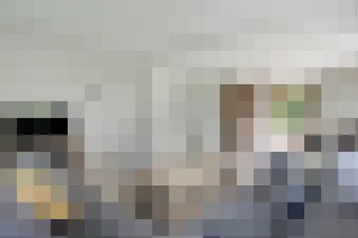 Bangert 58 Blokker thumbnail 13