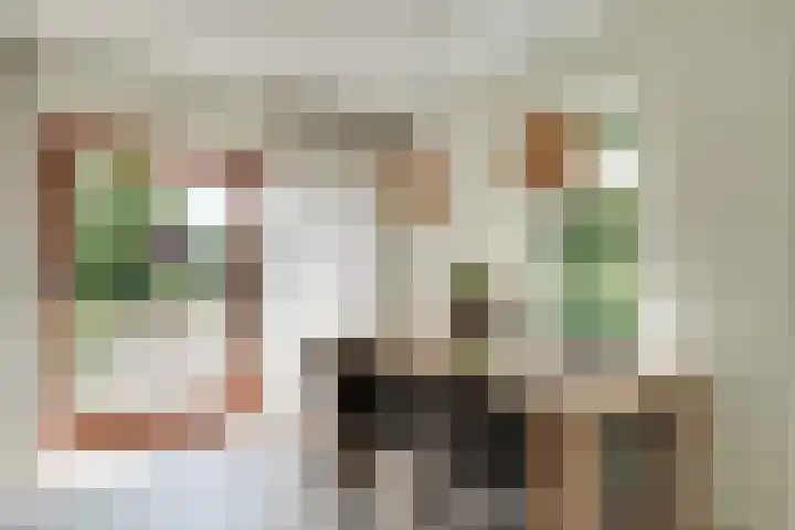Bangert 58 Blokker thumbnail 18