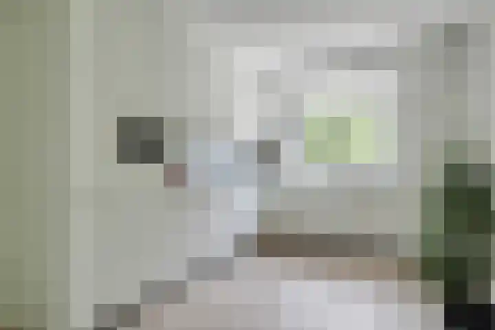Bangert 58 Blokker thumbnail 19