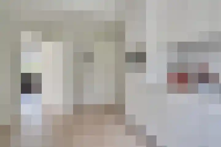 Bangert 58 Blokker thumbnail 21