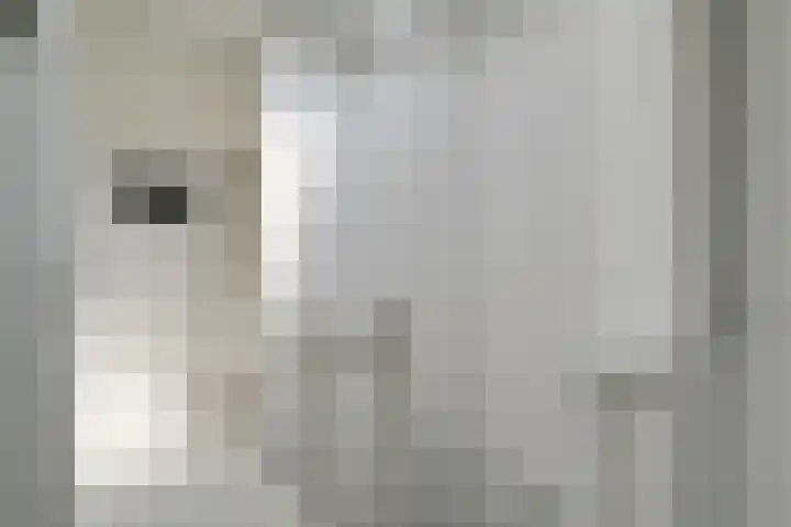 Bangert 58 Blokker thumbnail 24