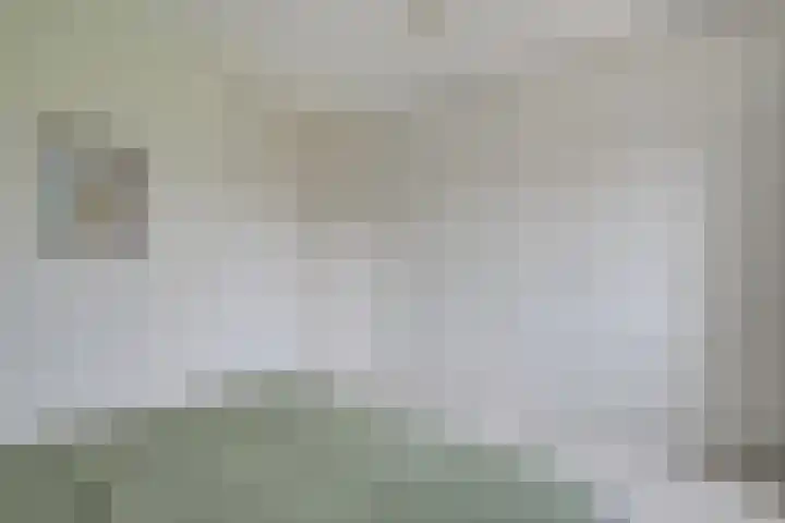 Bangert 58 Blokker thumbnail 27