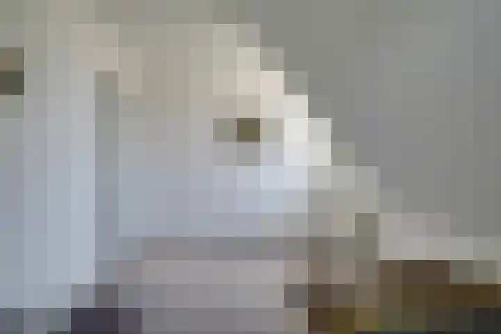 Bangert 58 Blokker thumbnail 30
