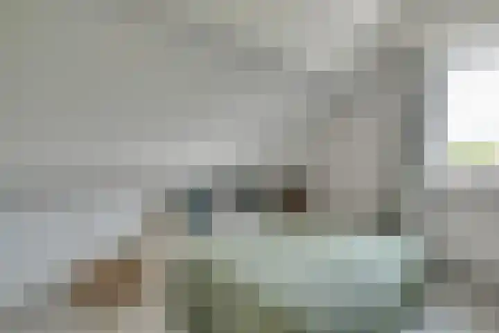 Bangert 58 Blokker thumbnail 31
