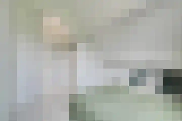 Bangert 58 Blokker thumbnail 32