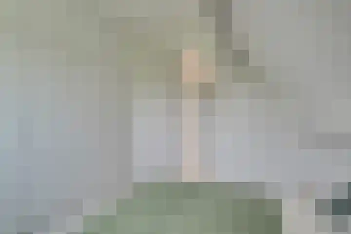 Bangert 58 Blokker thumbnail 33