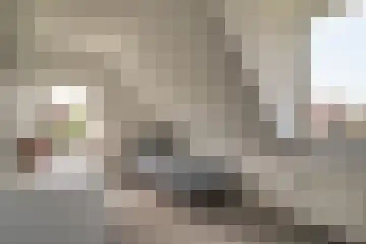 Bangert 58 Blokker thumbnail 34