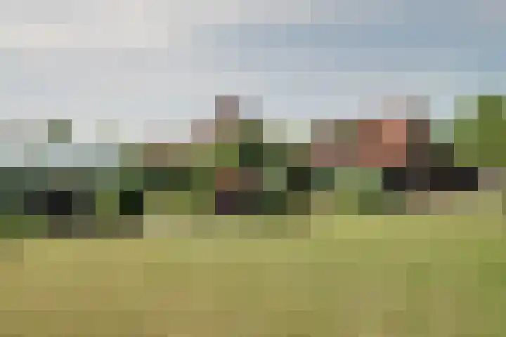 Bangert 58 Blokker thumbnail 40
