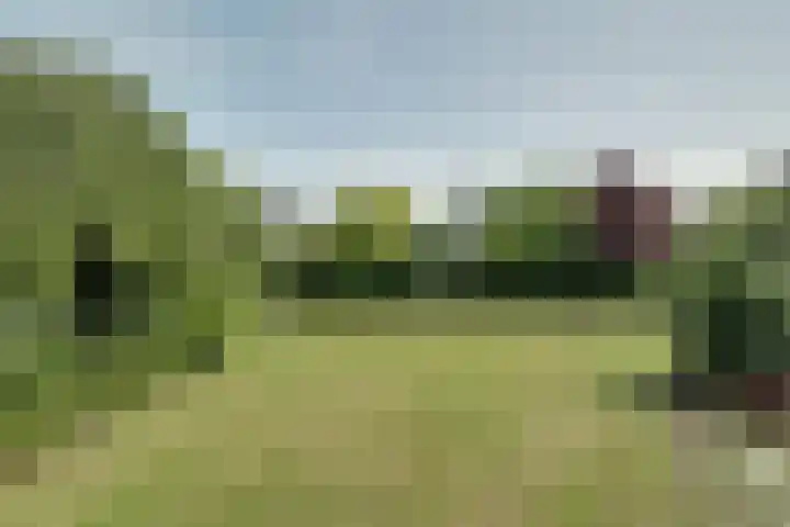 Bangert 58 Blokker thumbnail 41