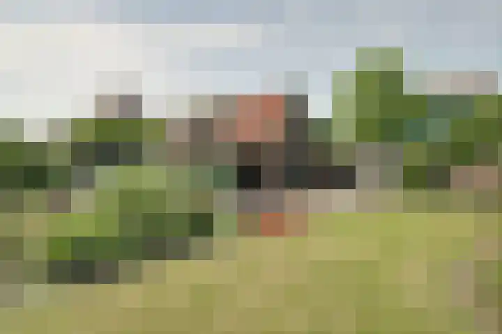 Bangert 58 Blokker thumbnail 42