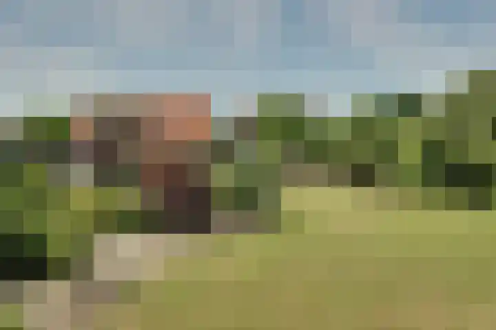 Bangert 58 Blokker thumbnail 43