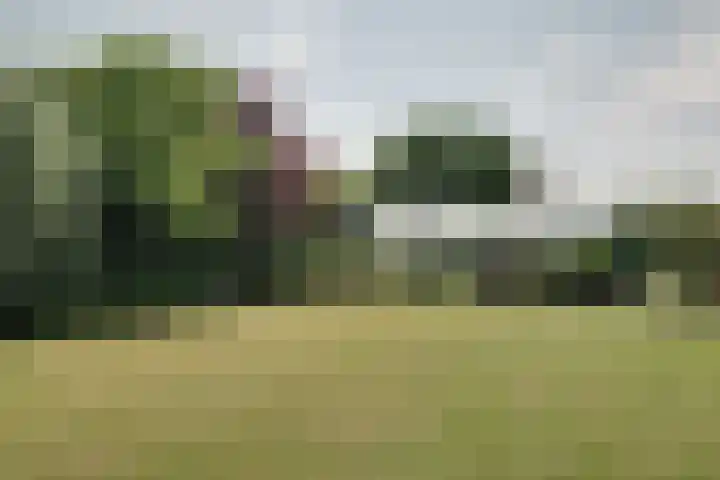 Bangert 58 Blokker thumbnail 46