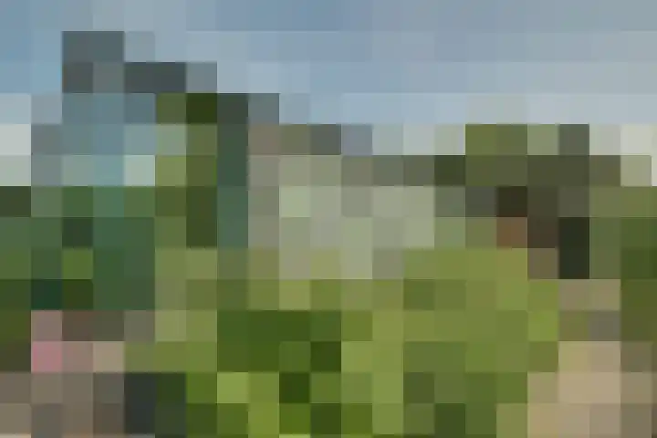 Bangert 58 Blokker thumbnail 48
