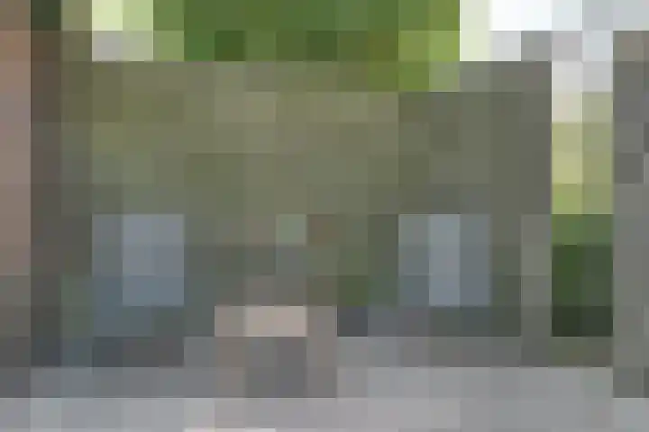 Bangert 58 Blokker thumbnail 55