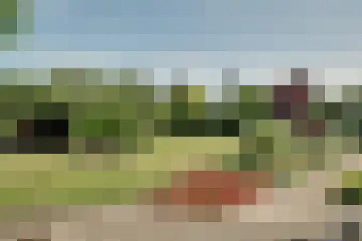 Bangert 58 Blokker thumbnail 57