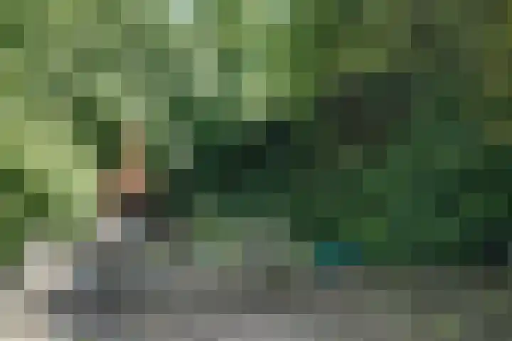 Bangert 58 Blokker thumbnail 58