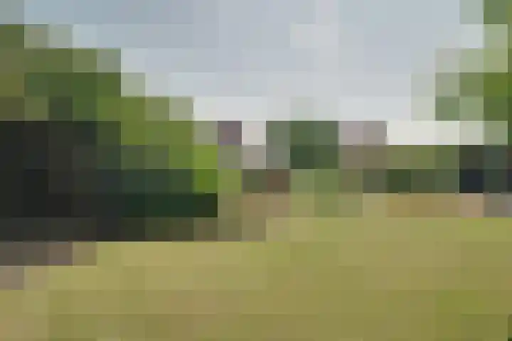 Bangert 58 Blokker thumbnail 59