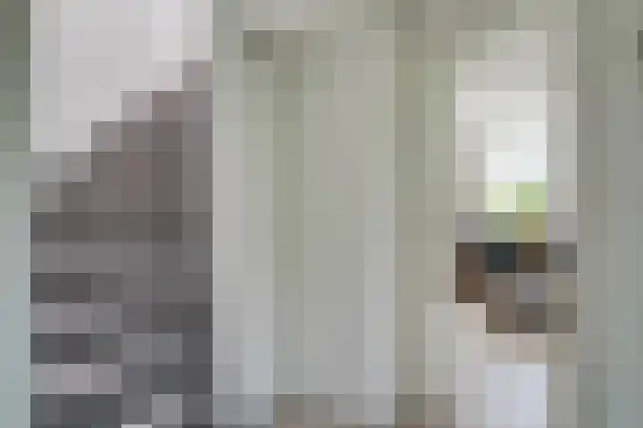 Bangert 58 Blokker thumbnail 6