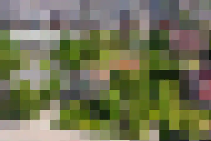 Bangert 58 Blokker thumbnail 61