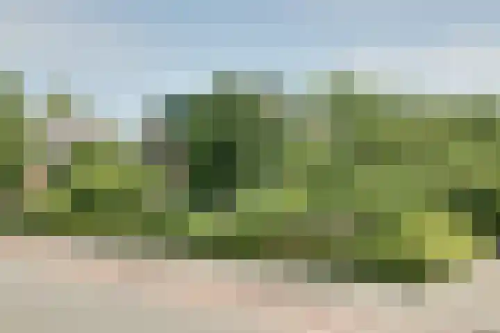 Bangert 58 Blokker thumbnail 63