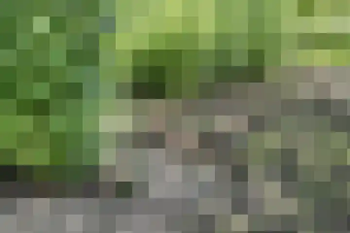 Bangert 58 Blokker thumbnail 66