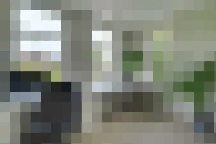 Bangert 58 Blokker thumbnail 9