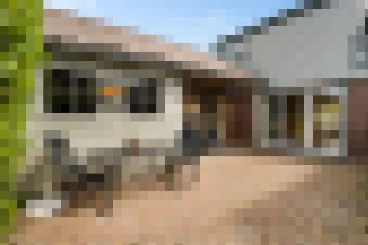 Bangert 63 Zwaag thumbnail 28