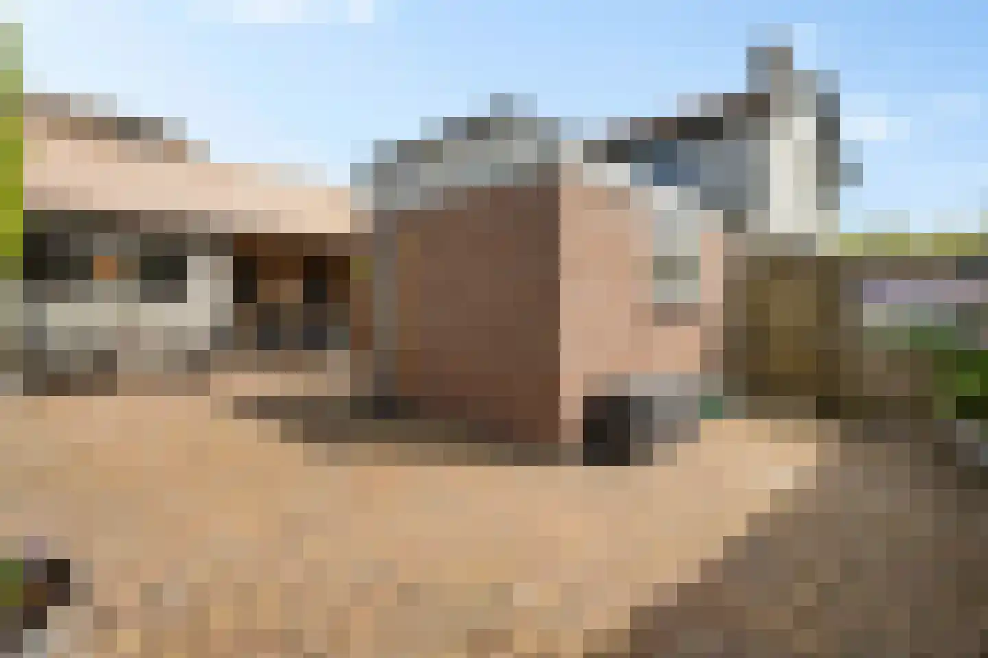 Bangert 63 Zwaag thumbnail 30