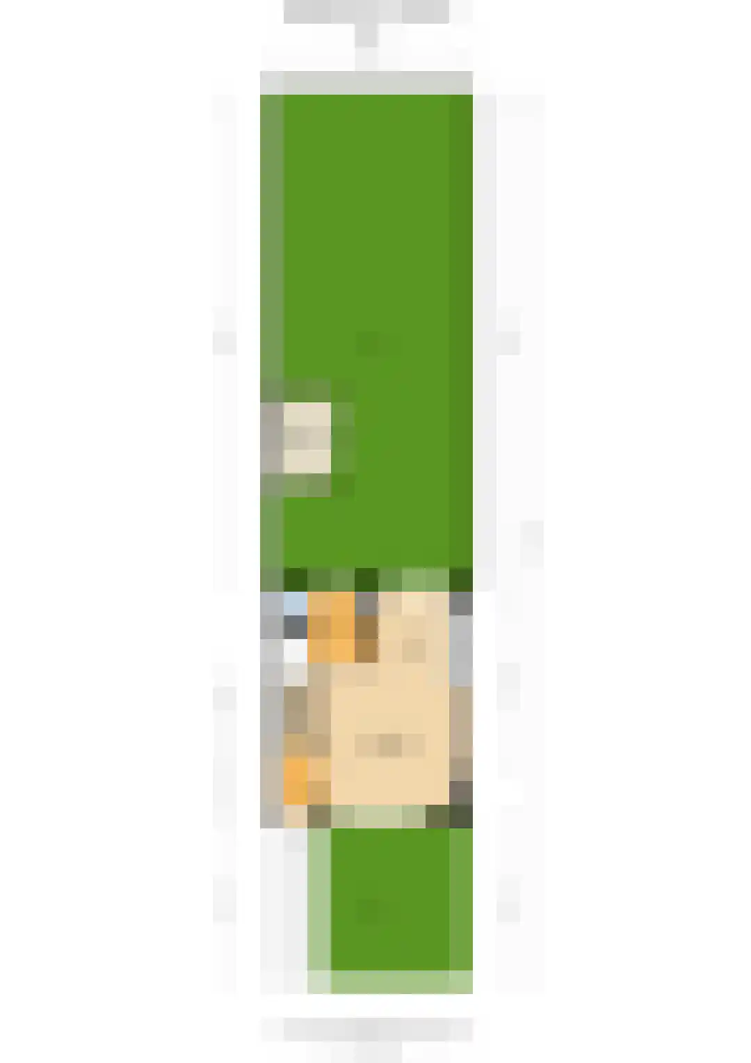 Bangkasingel 46 Vlaardingen thumbnail 37