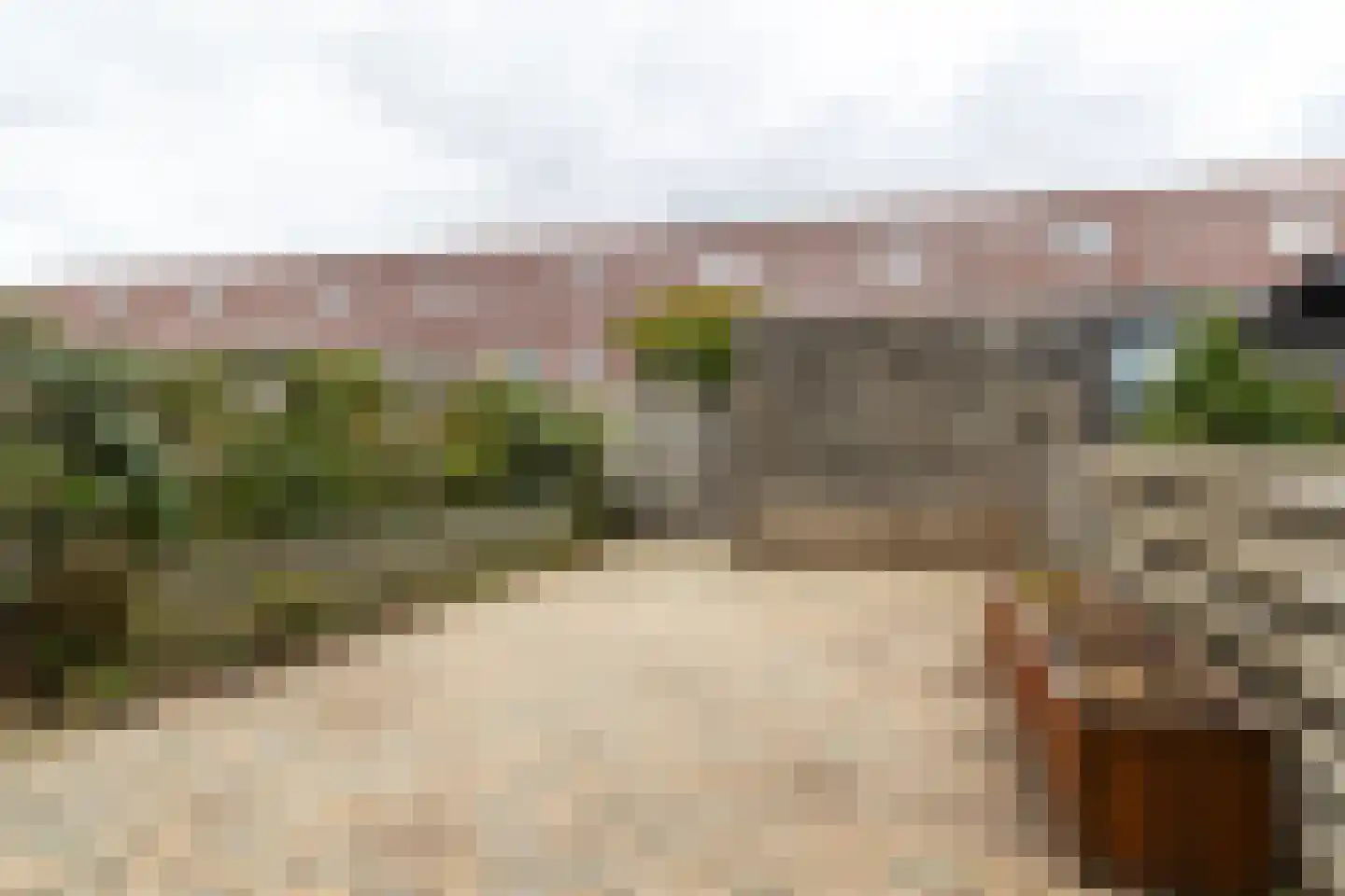 Bangkoksingel 10 IJsselstein thumbnail 14