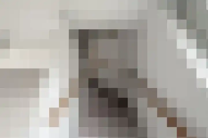 Banier 1 Leerdam thumbnail 10