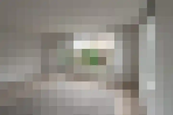Banier 1 Leerdam thumbnail 12