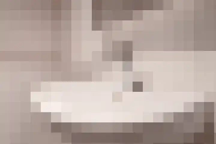 Banier 1 Leerdam thumbnail 29