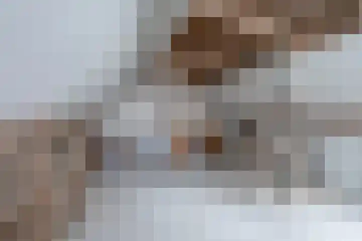 Banier 1 Leerdam thumbnail 33