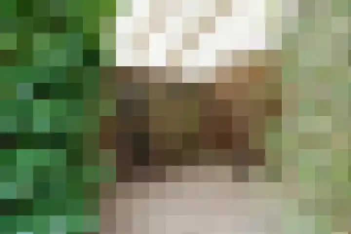 Banier 1 Leerdam thumbnail 38