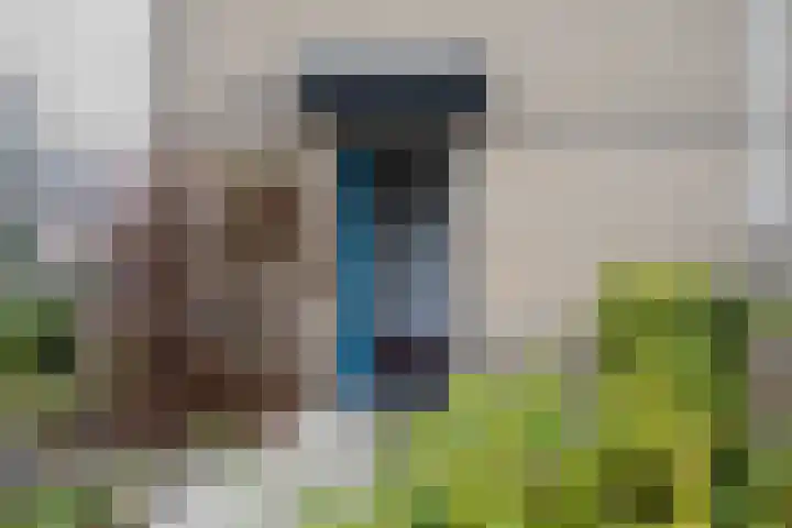 Banier 1 Leerdam thumbnail 4